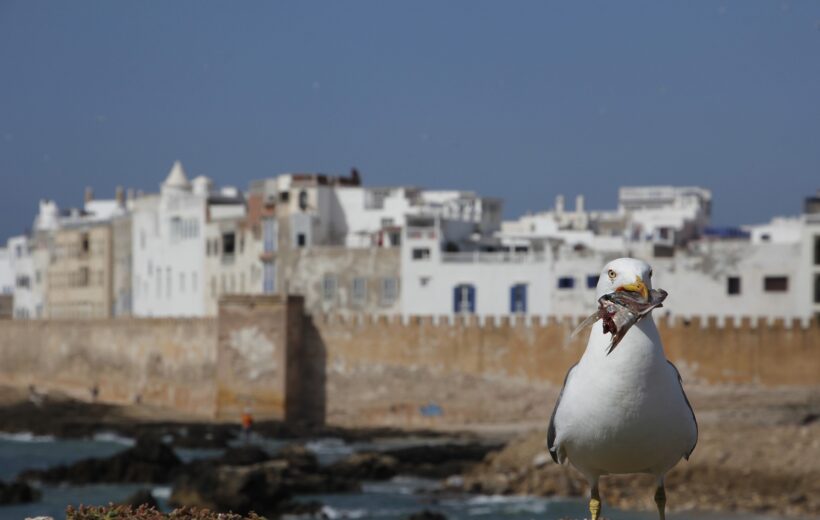 Essaouira